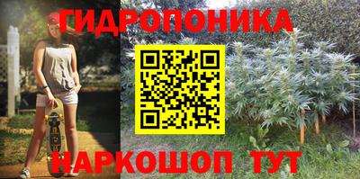 шишки Ипатово
