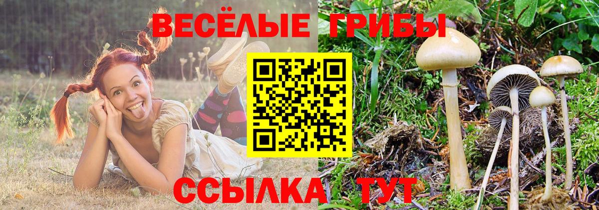Галлюциногенные грибы мухоморы  Псилоцибиновые грибы MAGIC MUSHROOMS  Куйбышев  Вход с VPN 