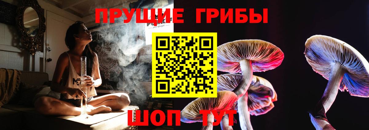 Галлюциногенные грибы прущие грибы Куйбышев